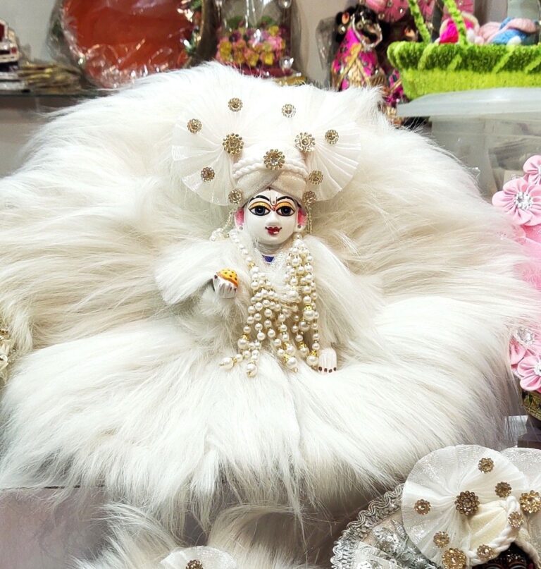 punjbai suits in karnal